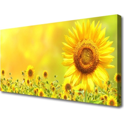 Obraz Canvas Slnečnica kvet rastlina 100x50 cm