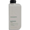 Kevin Murphy Scalp Spa Wash šampon 250 ml