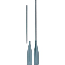 SCOPREGA G-381125