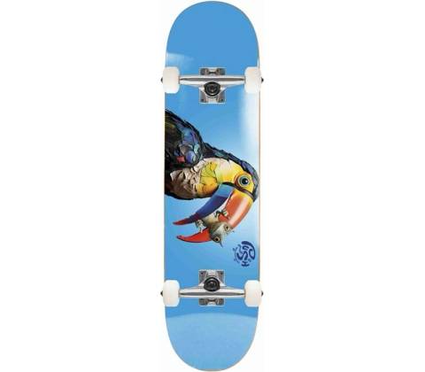 Push Toucan