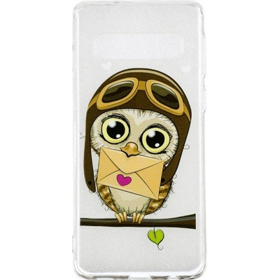 Pouzdro JustKing plastové sova Samsung Galaxy S10 - čiré
