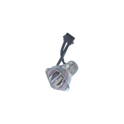 Lampa pro projektor TOSHIBA TDP-S25E, originální lampa bez modulu – Zboží Živě