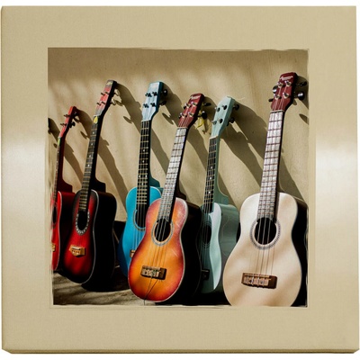 DISK Art Akustický obraz - Ukulele (60 x 60 x 8)