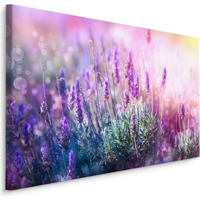 Plátno Kvetoucí Levandule 3D Varianta: 70x50