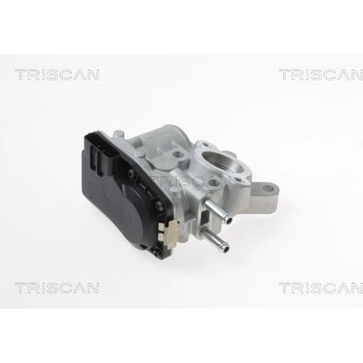 AGR-Ventil TRISCAN 8813 14100
