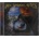 Shadowland - Nocturnal Rites CD