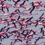 Deftones - Gore (CD) (0093624926481)