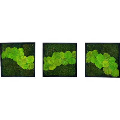 Machové obrazy TRIO Q Veľkosť rámu: 40x40cm