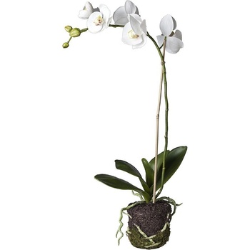 Umělá květina Sia Home Fashion Orchidej bílá s mechem 66cm