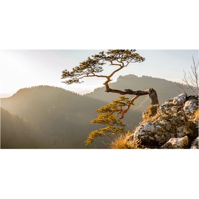 Fotoobraz na skle Sokolice Pieniny 100x50 cm