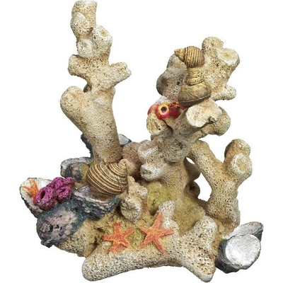 Nobby Korál 13x9,5x14 cm