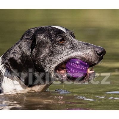 DentaFun lopta termoplastová guma TPR 6 cm