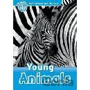 Young Animals -