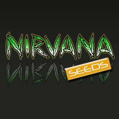Nirvana Girl Scout Cookies semena neobsahují THC 5 ks