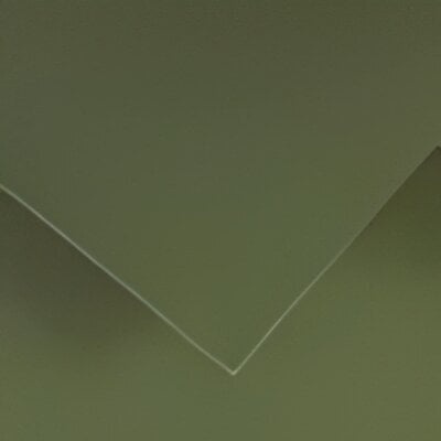 Canson Colorline 50x65 cm Khaki Green 89 150 g Цветна хартия (C400110146)