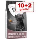 Concept for Life Medium Light 12 kg