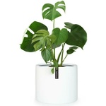 Blumfeldt Gendt XXL (PP-ROUND-XXL)