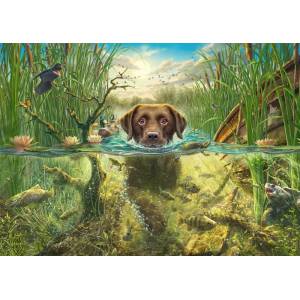Schmidt Spiele - Puzzle Fredrickson: Chocolate Labrador - 1 000 piese
