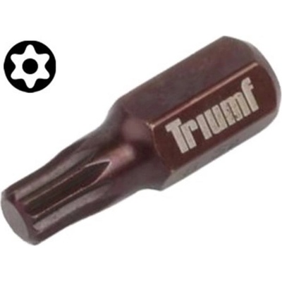 Triumf TORX T25 3/8" 100-02828