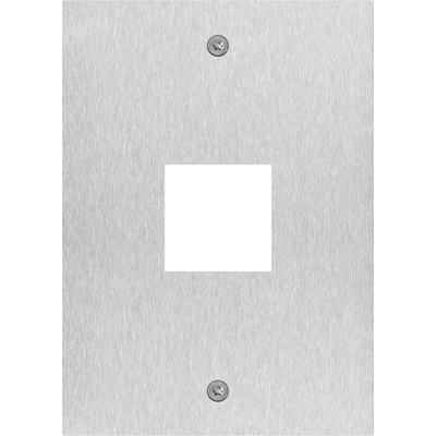 Vimar 41596 1-модулен капак с отвор 40 x 40 mm за четец, неръждаема стомана Due Fili Plus (V41596)