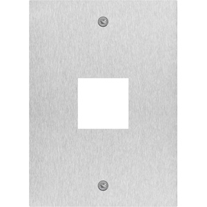 Vimar 41596 1-модулен капак с отвор 40 x 40 mm за четец, неръждаема стомана Due Fili Plus (V41596)