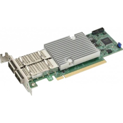 Supermicro AOC-S100G-B2C-O