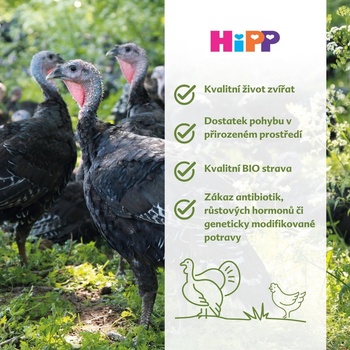 HiPP BIO Zelenina s krůtím masem 220 g