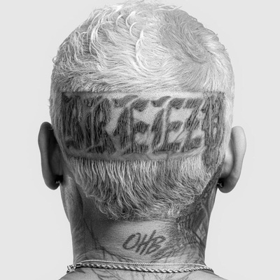Chris Brown - Breezy CD – Hledejceny.cz