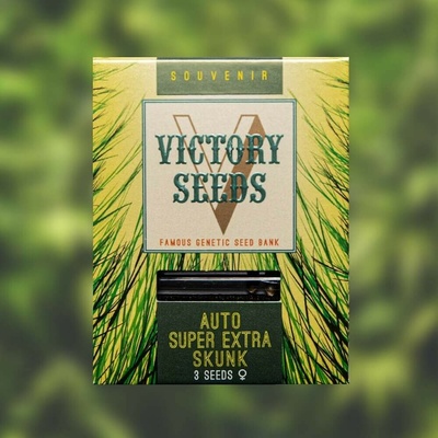 Victory Seeds Auto Super Extra Skunk semienka neobsahujú THC 10 ks