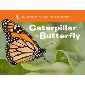 Caterpillar to Butterfly | Melissa Stewart (ISBN: 9781454914068)