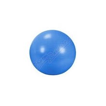 Anti Burst Gym Ball 65 cm