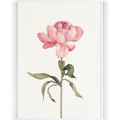 Plakát / Obraz Zen 40 x 50 cm Tiskové plátno Bez okraje – Zbozi.Blesk.cz