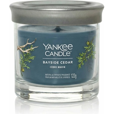 Yankee Candle Signature Tumbler Bayside Cedar 122 g