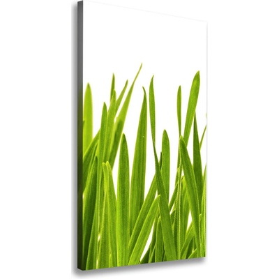 Vertikálny foto obraz na plátne Zelená tráva 50x100 cm