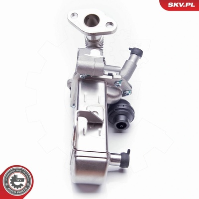 AGR - Ventil ESEN SKV 14SKV135 14SKV135
