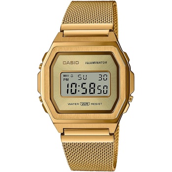 Casio A1000MG-9