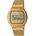 Casio A1000MG-9