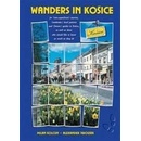 Wanders in Košice