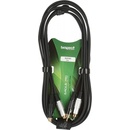 Bespeco EA2X300