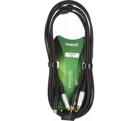 Bespeco EA2X300
