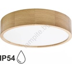 Temar CLEO TM0117