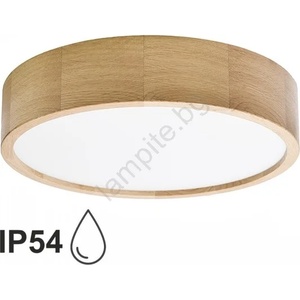 Temar CLEO TM0117