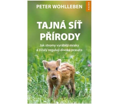 Tajná síť přírody