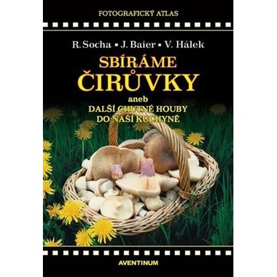 Sbíráme čirůvky a další chutné houby do naší kuchyně