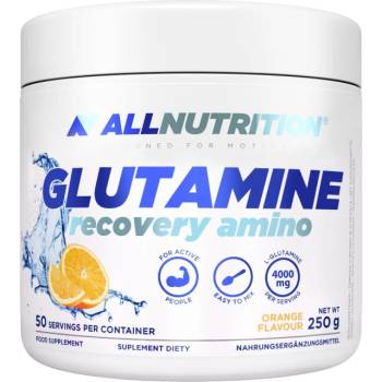 Image 1 of ALLNUTRITION Glutamine Recovery Amino [250 грама] Портокал