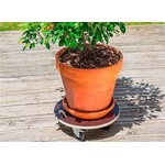 Nortene Поставка за цветя Nortene FLORA ROLL STRONG, Ø40 см, до 200 кг