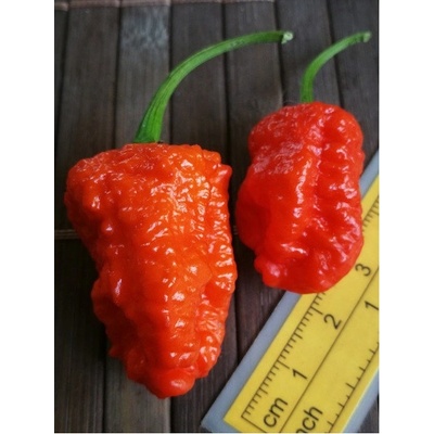 Carolina Reaper 19-CC2-21-1 (chilli semena) 1 ks