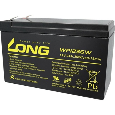 Long 12V 9Ah WP1236W