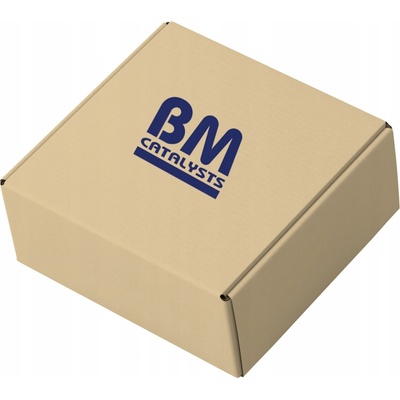 BM CATALYSTS BM50104