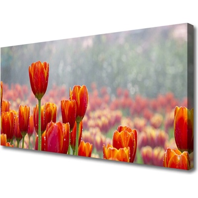 Obraz Canvas Tulipány kvety rastlina 100x50 cm